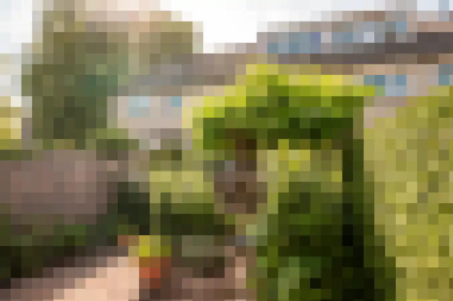 Verzetslaan 114 Almere thumbnail 34
