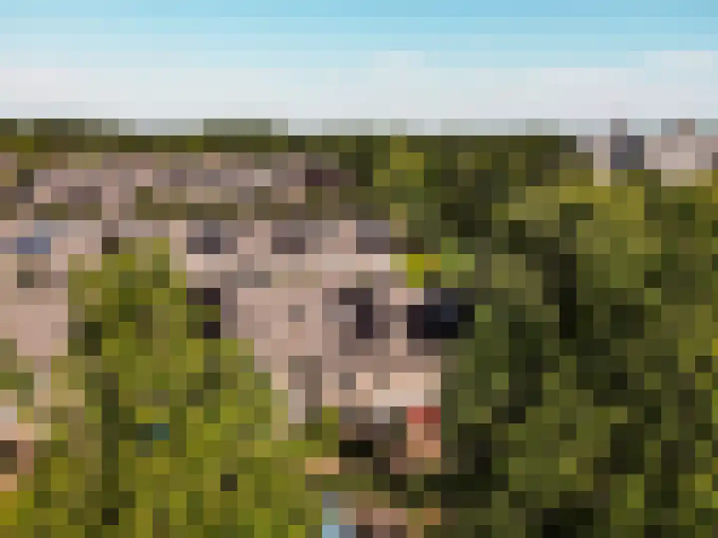 Verzetslaan 114 Almere thumbnail 39