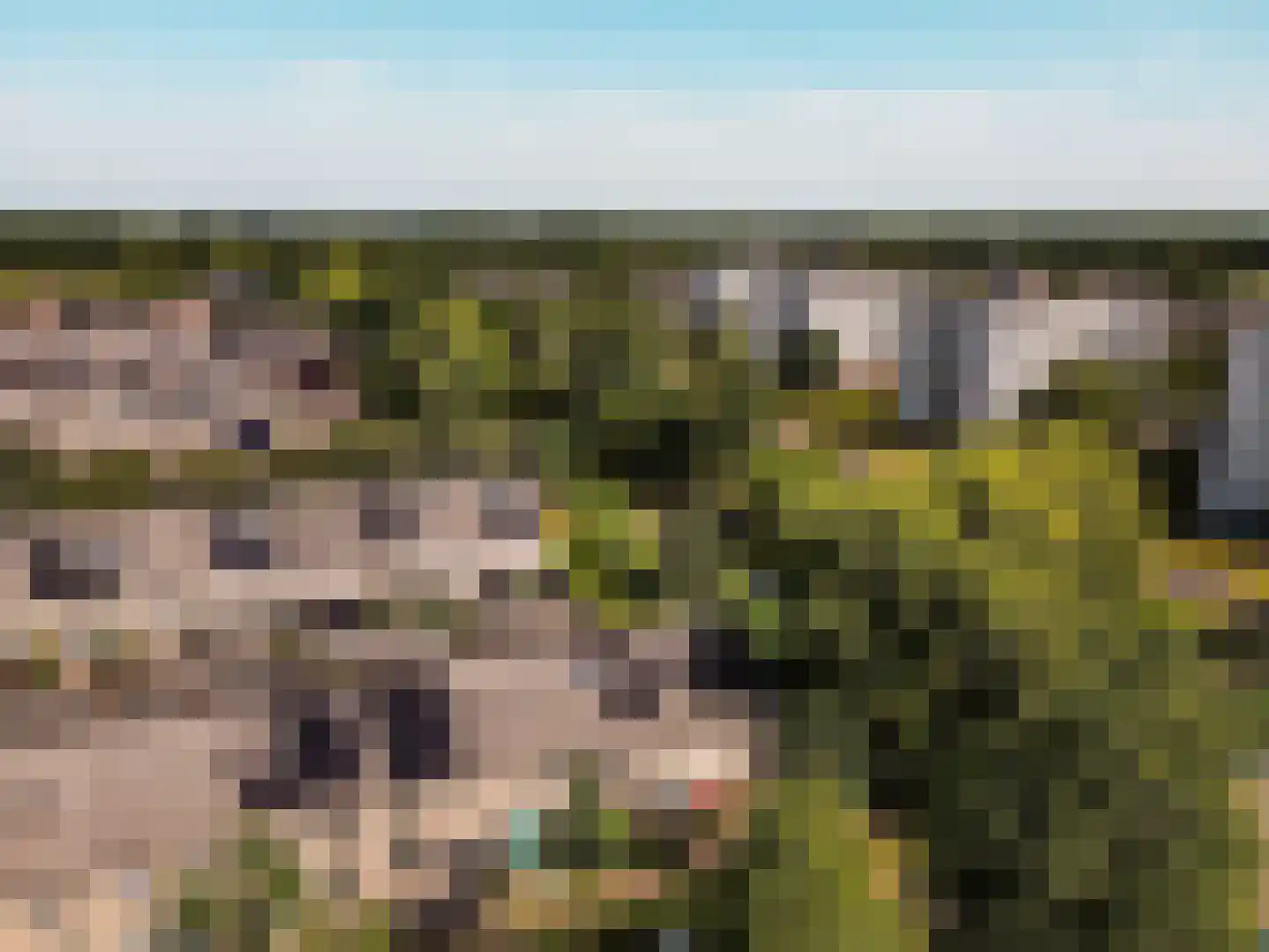 Verzetslaan 114 Almere thumbnail 42