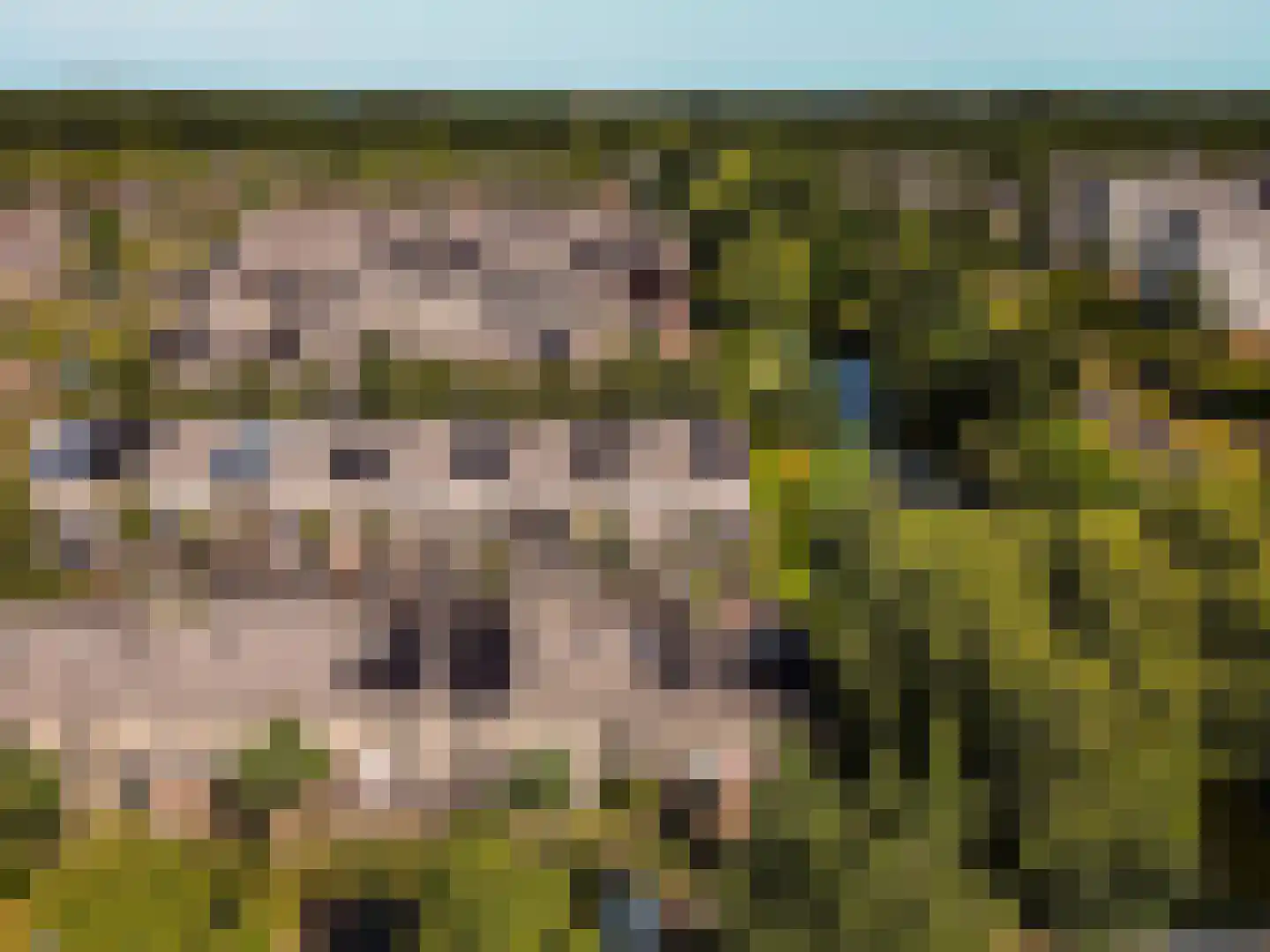 Verzetslaan 114 Almere thumbnail 43