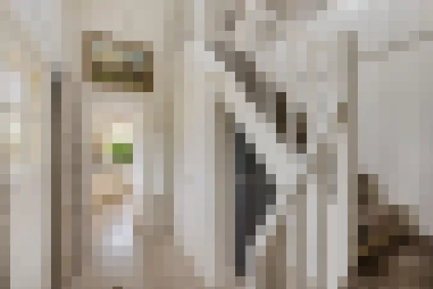 Verzetslaan 12 Mildam thumbnail 10