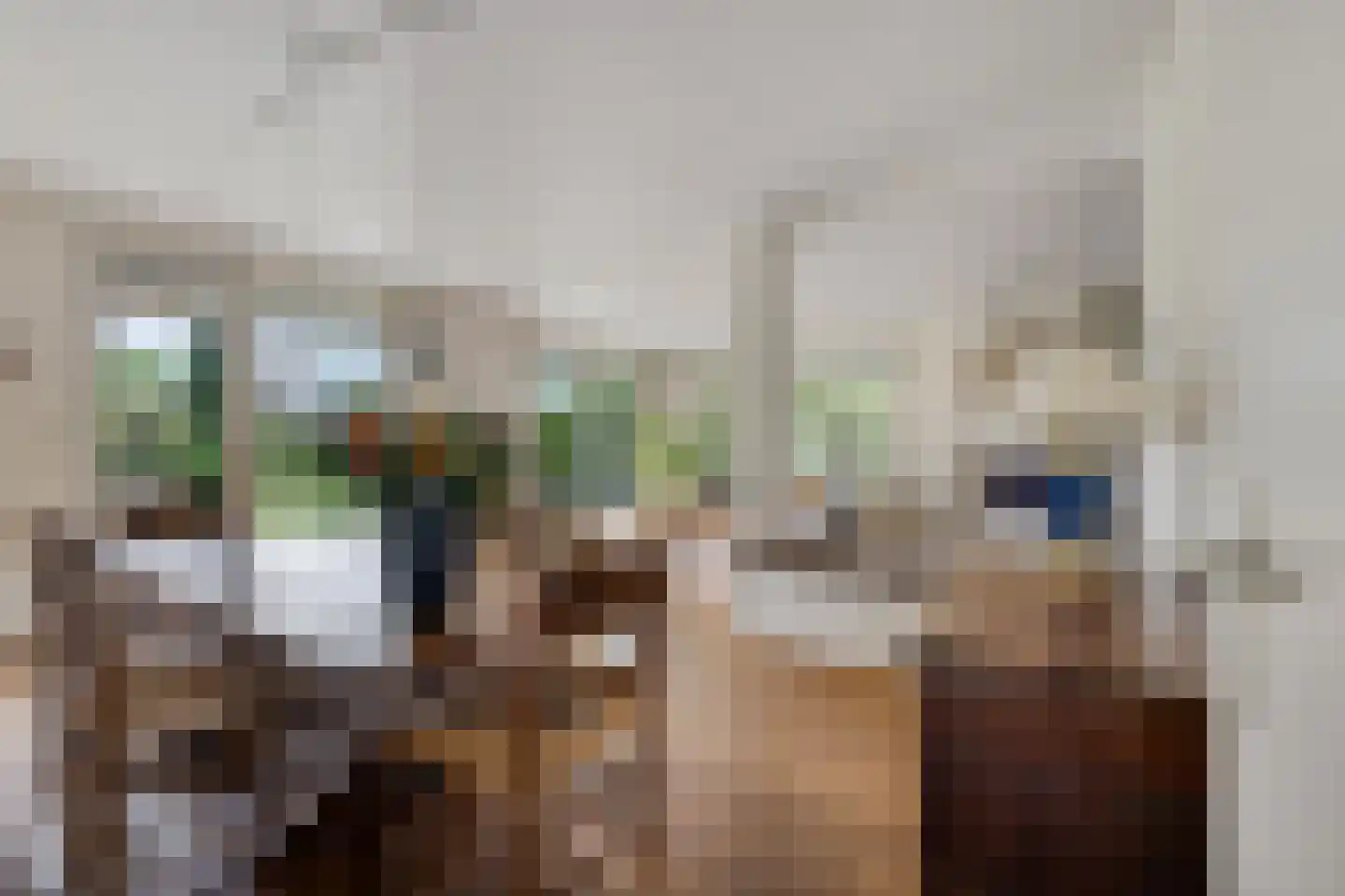 Verzetslaan 12 Mildam thumbnail 14