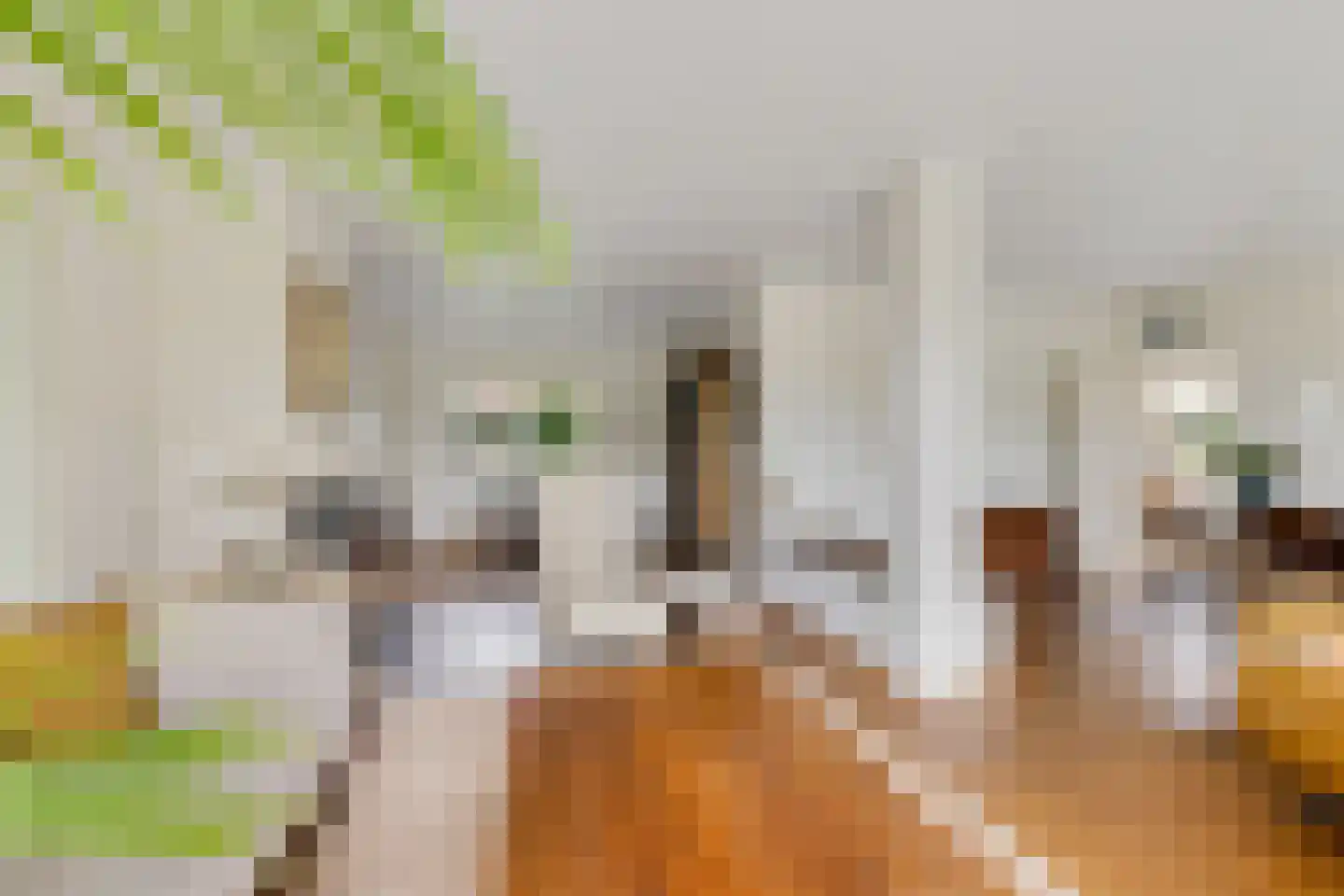 Verzetslaan 12 Mildam thumbnail 16