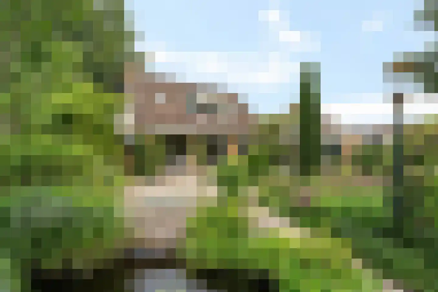 Verzetslaan 12 Mildam foto 2