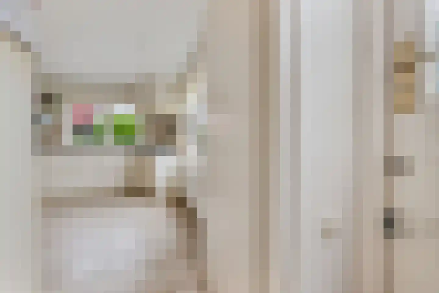 Verzetslaan 12 Mildam thumbnail 22