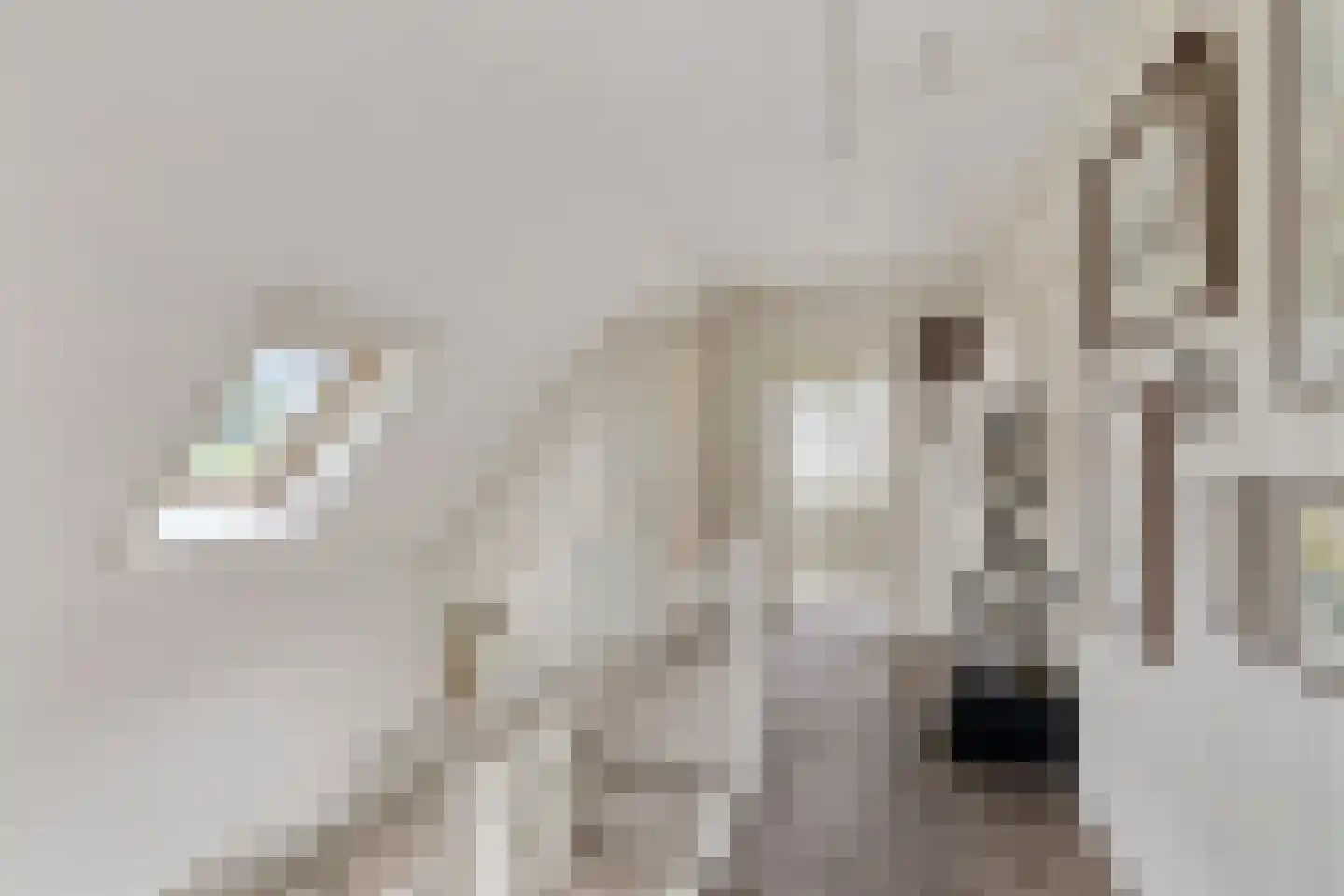 Verzetslaan 12 Mildam thumbnail 25