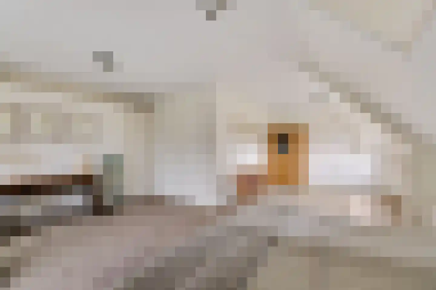Verzetslaan 12 Mildam thumbnail 31