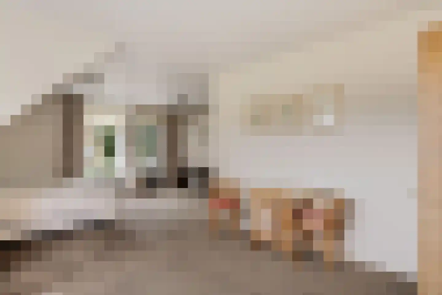 Verzetslaan 12 Mildam thumbnail 32