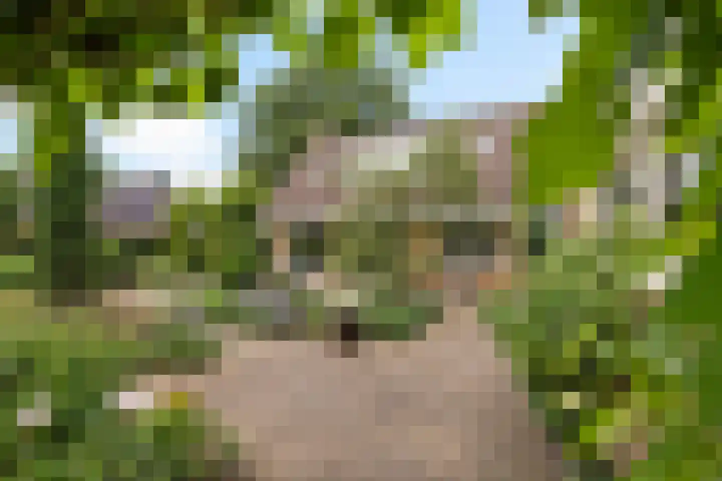 Verzetslaan 12 Mildam thumbnail 39
