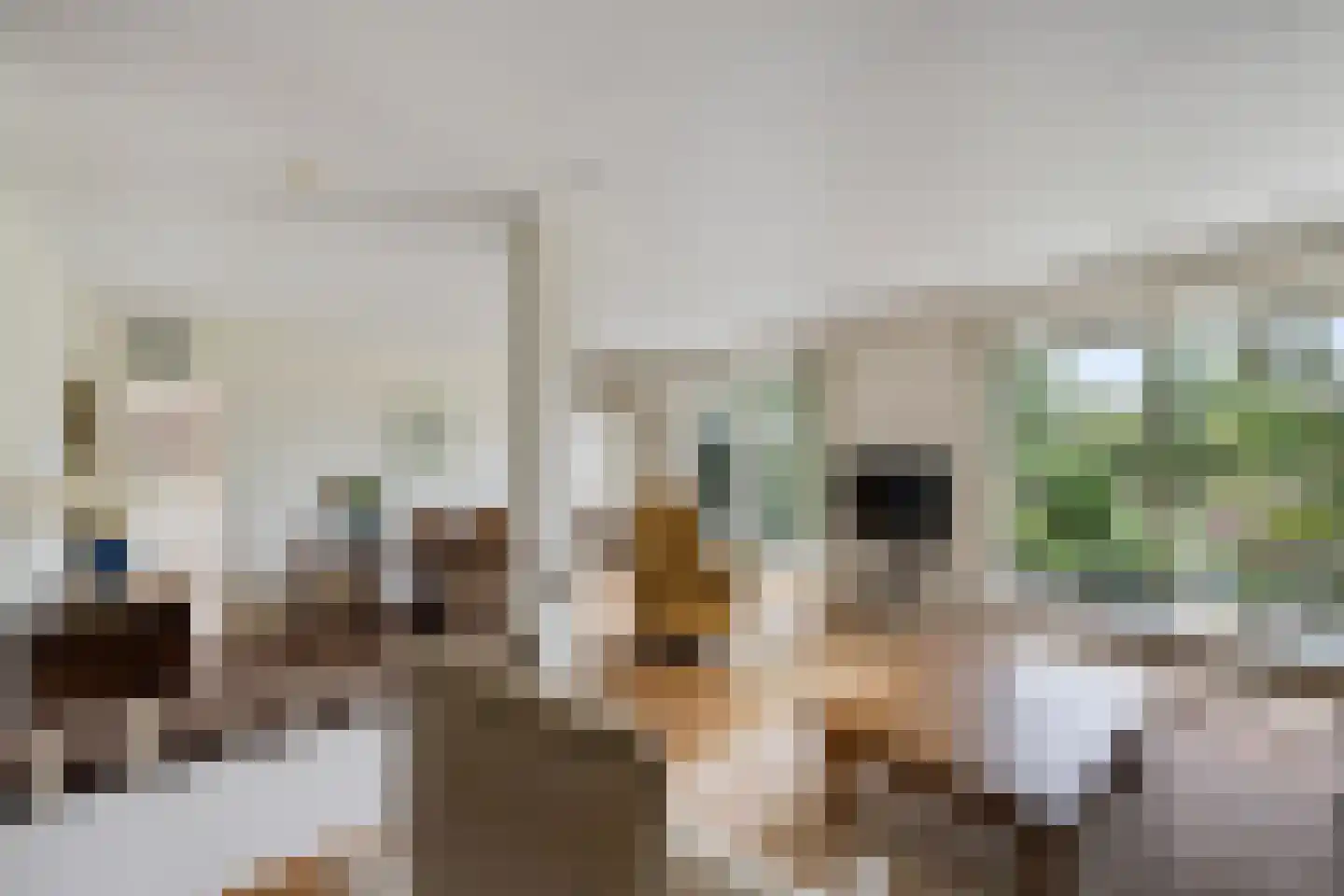 Verzetslaan 12 Mildam thumbnail 4