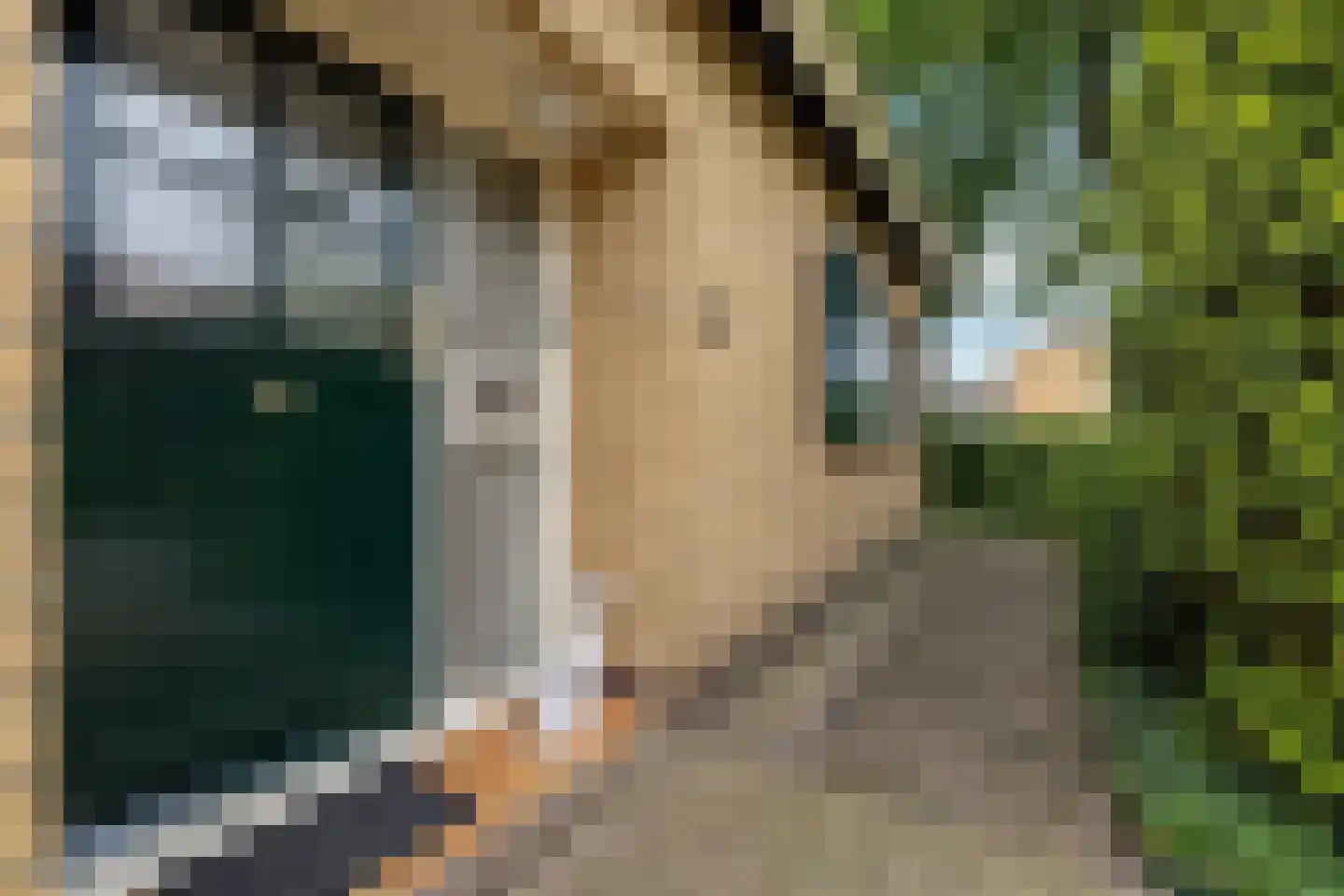 Verzetslaan 12 Mildam thumbnail 6