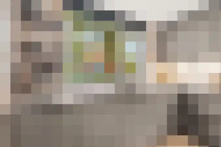 Verzetslaan 120 Almere thumbnail 15