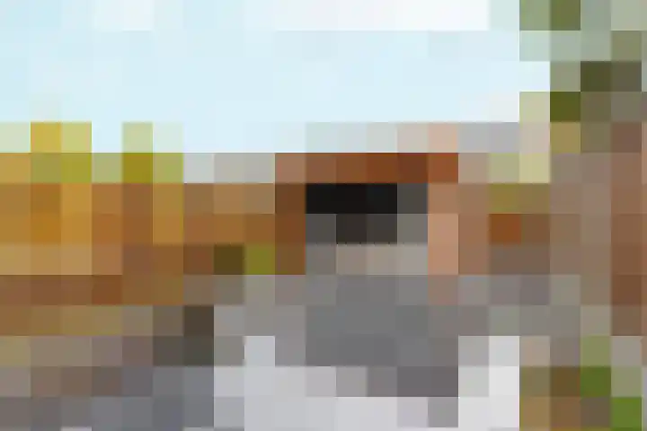 Verzetslaan 120 Almere thumbnail 37