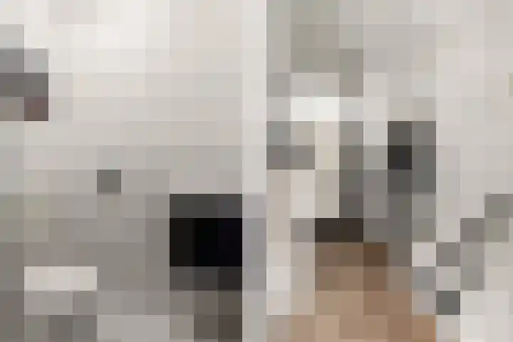 Verzetslaan 120 Almere thumbnail 8