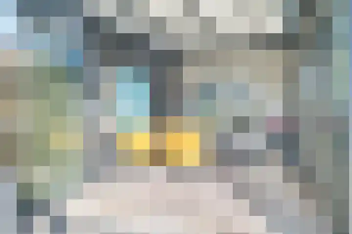Verzetslaan 15 Deventer thumbnail 10
