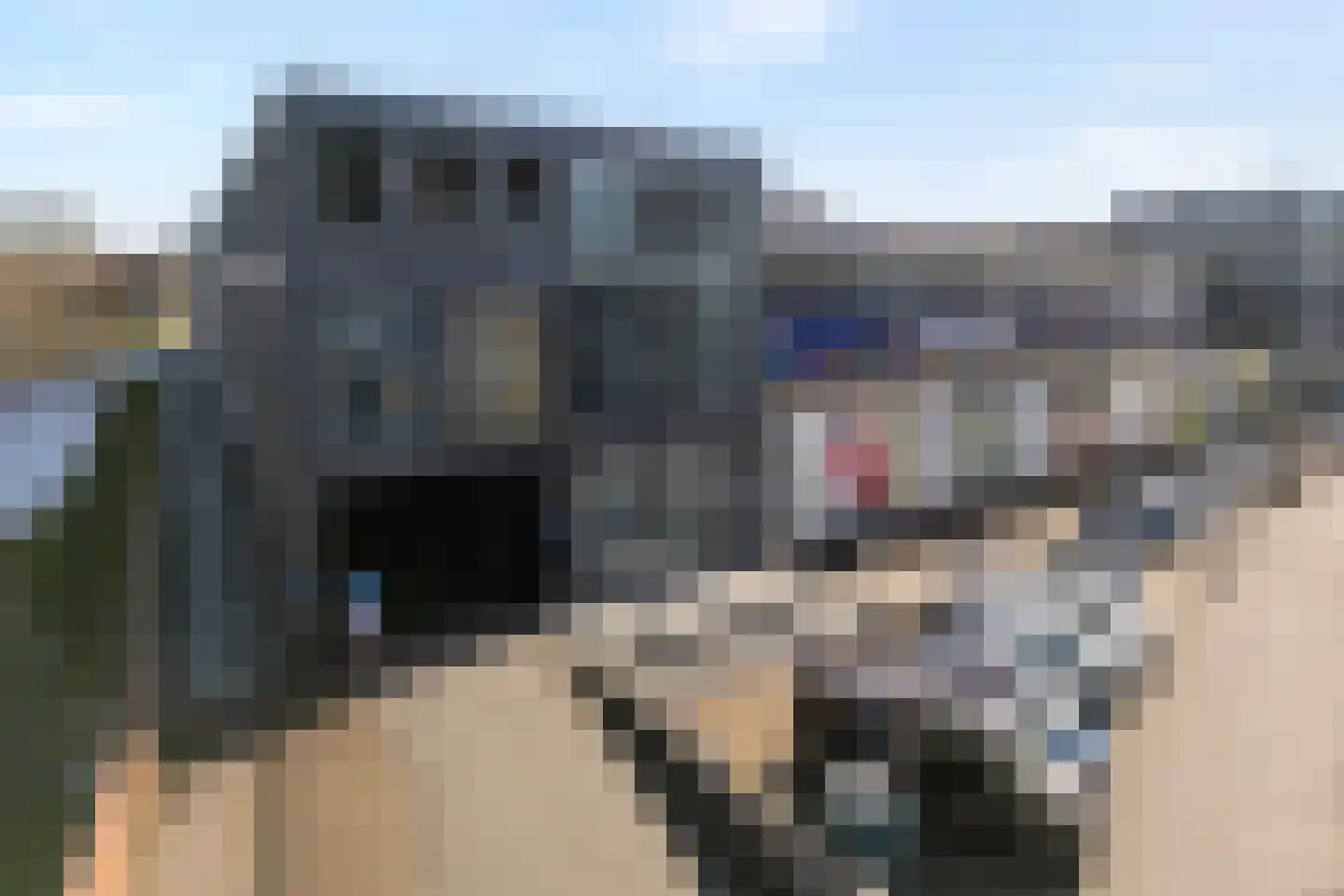 Verzetslaan 19 Deventer thumbnail 32