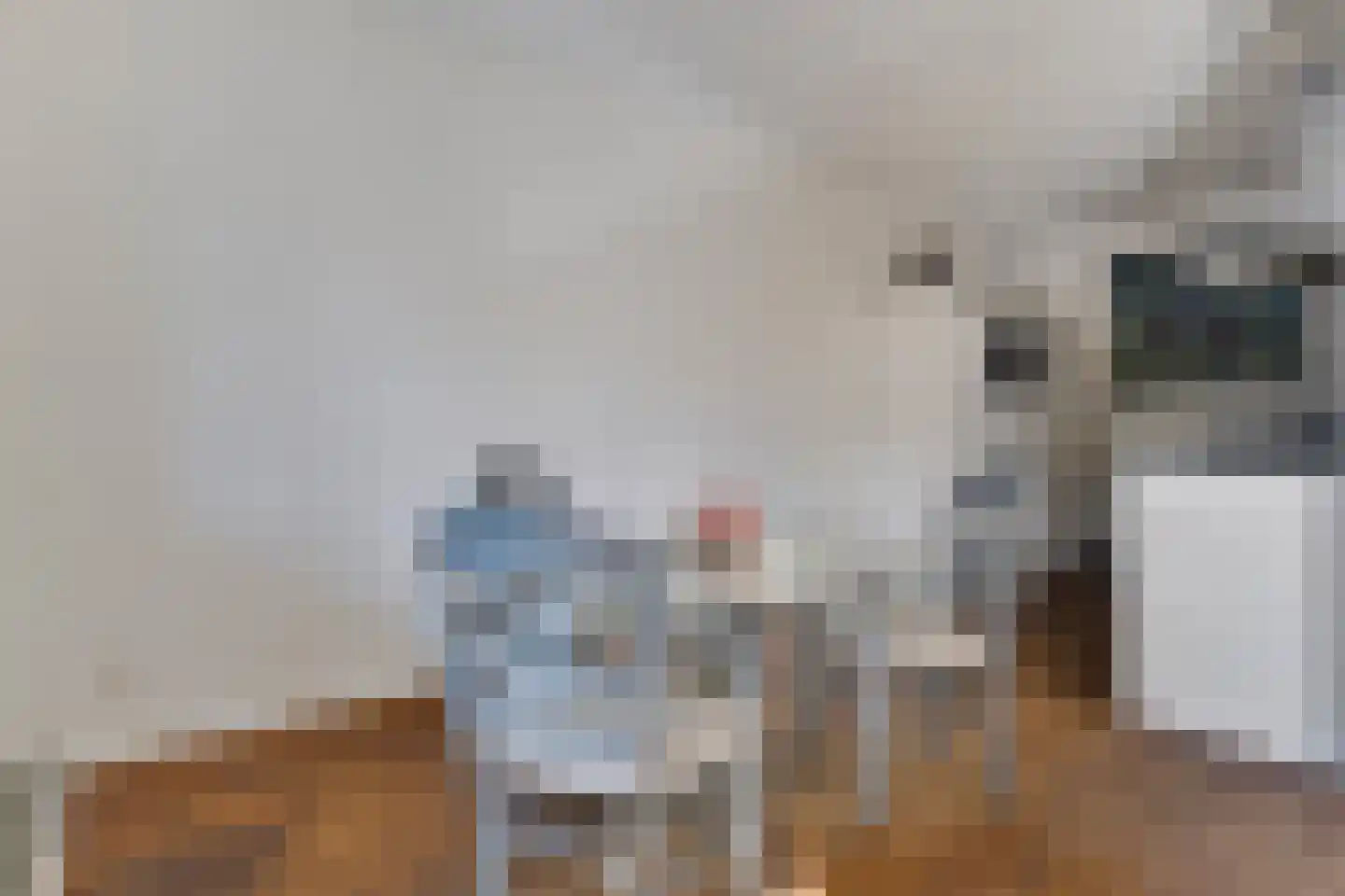 Verzetslaan 19 Deventer thumbnail 5