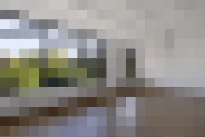 Verzetslaan 19 Mildam thumbnail 11
