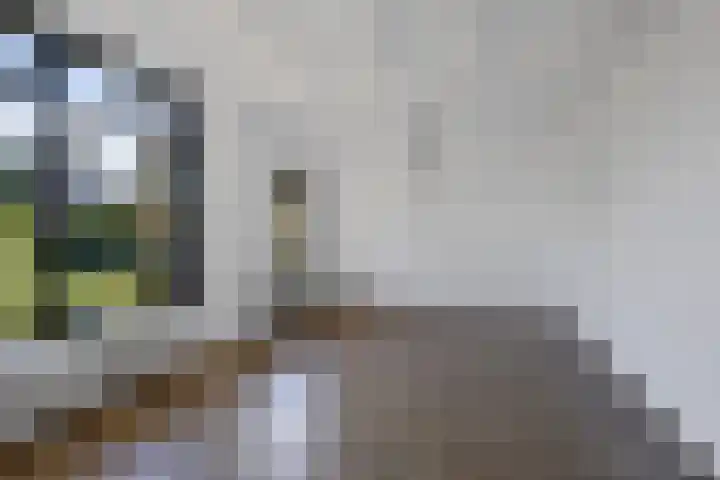 Verzetslaan 19 Mildam thumbnail 13