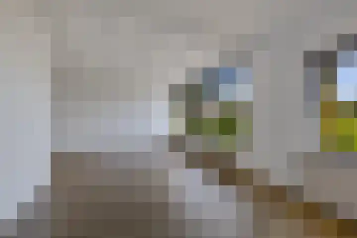 Verzetslaan 19 Mildam thumbnail 14