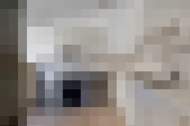 Verzetslaan 19 Mildam thumbnail 19