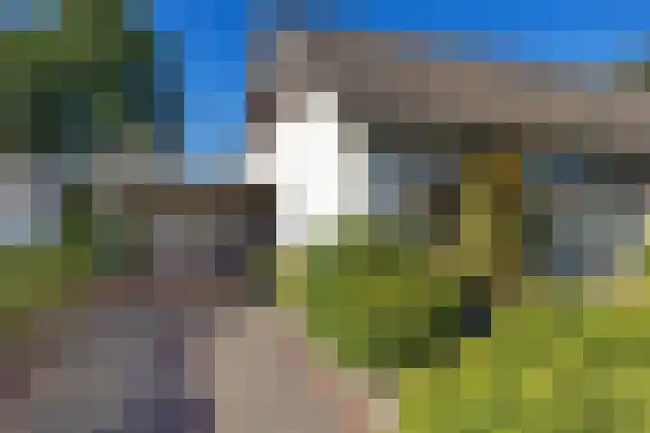 Verzetslaan 19 Mildam foto 2