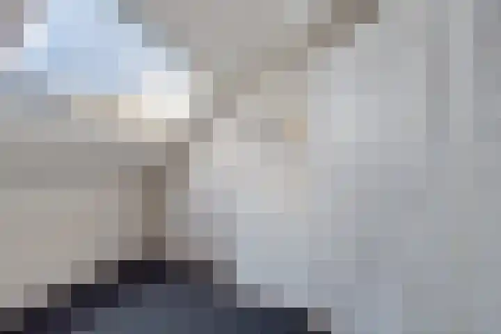 Verzetslaan 19 Mildam thumbnail 25