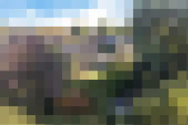 Verzetslaan 19 Mildam thumbnail 38