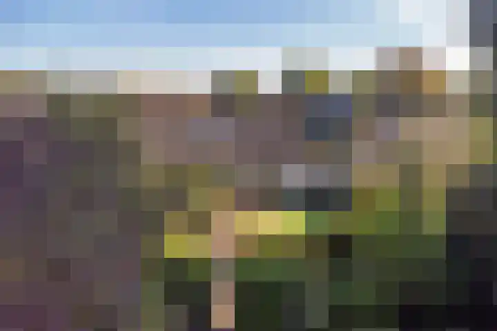 Verzetslaan 19 Mildam thumbnail 39