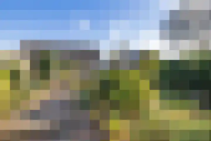 Verzetslaan 19 Mildam thumbnail 4