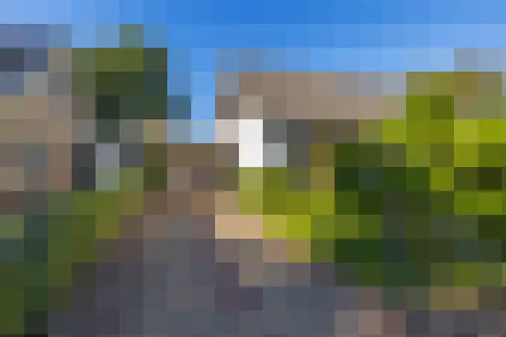 Verzetslaan 19 Mildam thumbnail 43