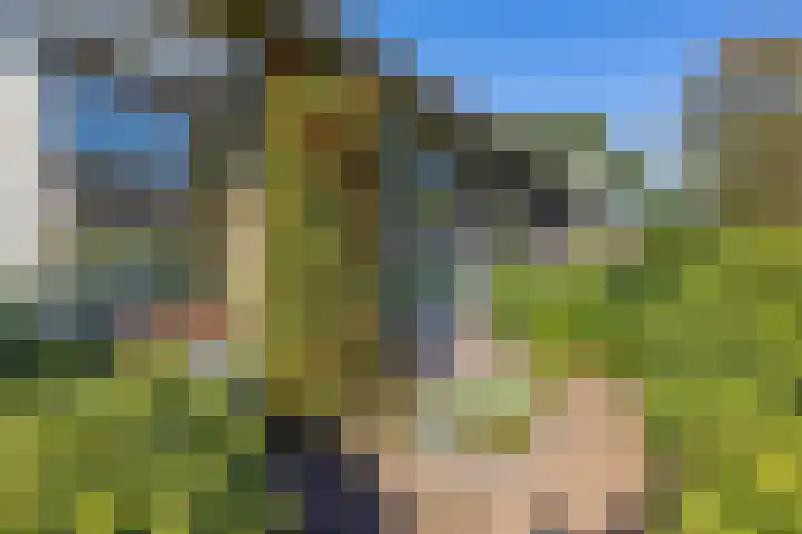 Verzetslaan 19 Mildam thumbnail 44