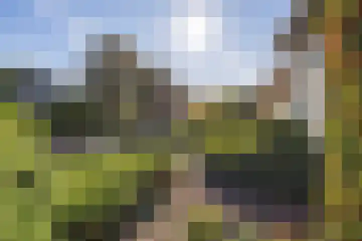 Verzetslaan 19 Mildam thumbnail 45