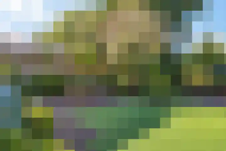 Verzetslaan 19 Mildam thumbnail 46