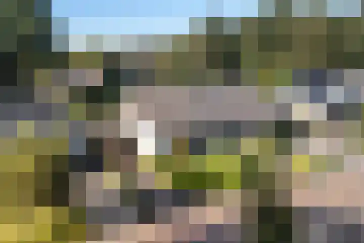 Verzetslaan 19 Mildam thumbnail 47