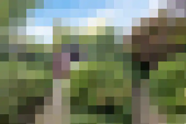 Verzetslaan 19 Mildam thumbnail 48