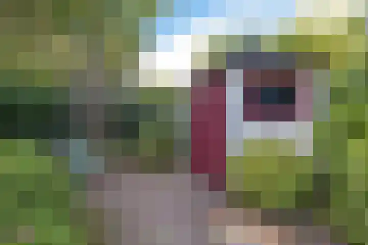 Verzetslaan 19 Mildam thumbnail 49