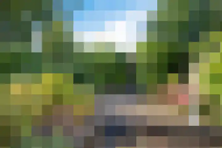 Verzetslaan 19 Mildam thumbnail 5