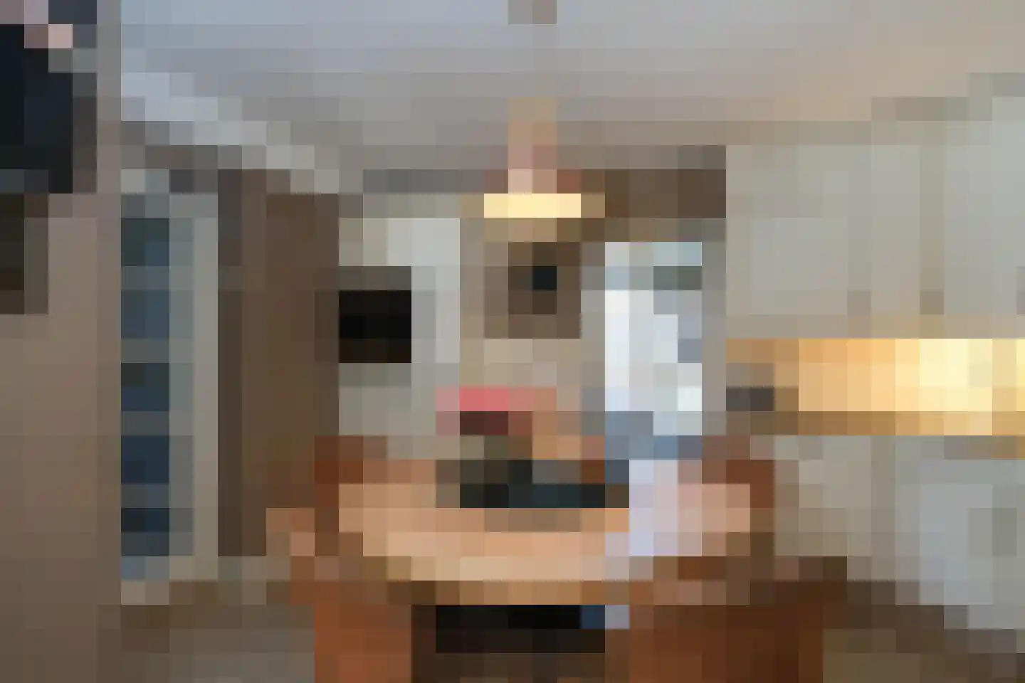 Verzetslaan 2 Almelo thumbnail 10