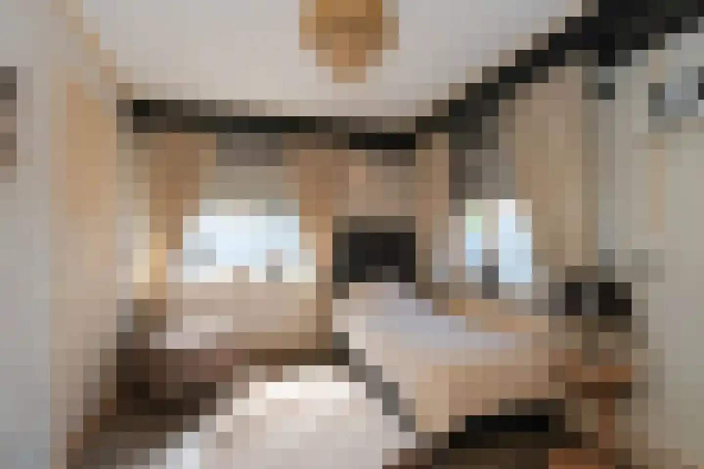 Verzetslaan 2 Almelo thumbnail 17