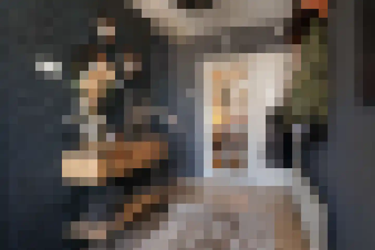 Verzetslaan 2 Almelo thumbnail 5