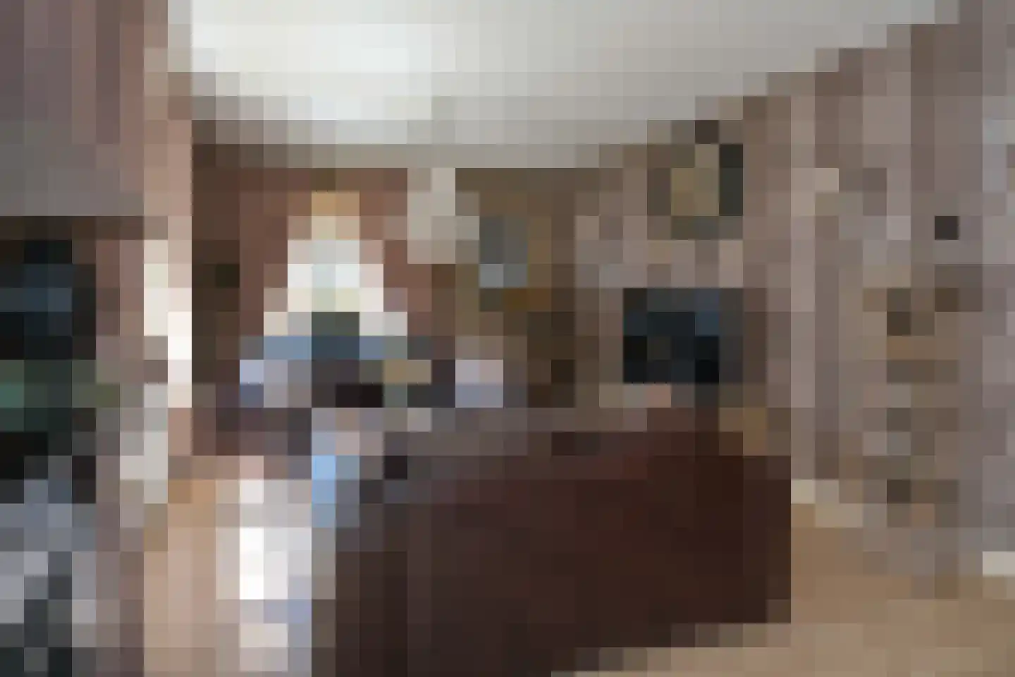Verzetslaan 2 Almelo thumbnail 6