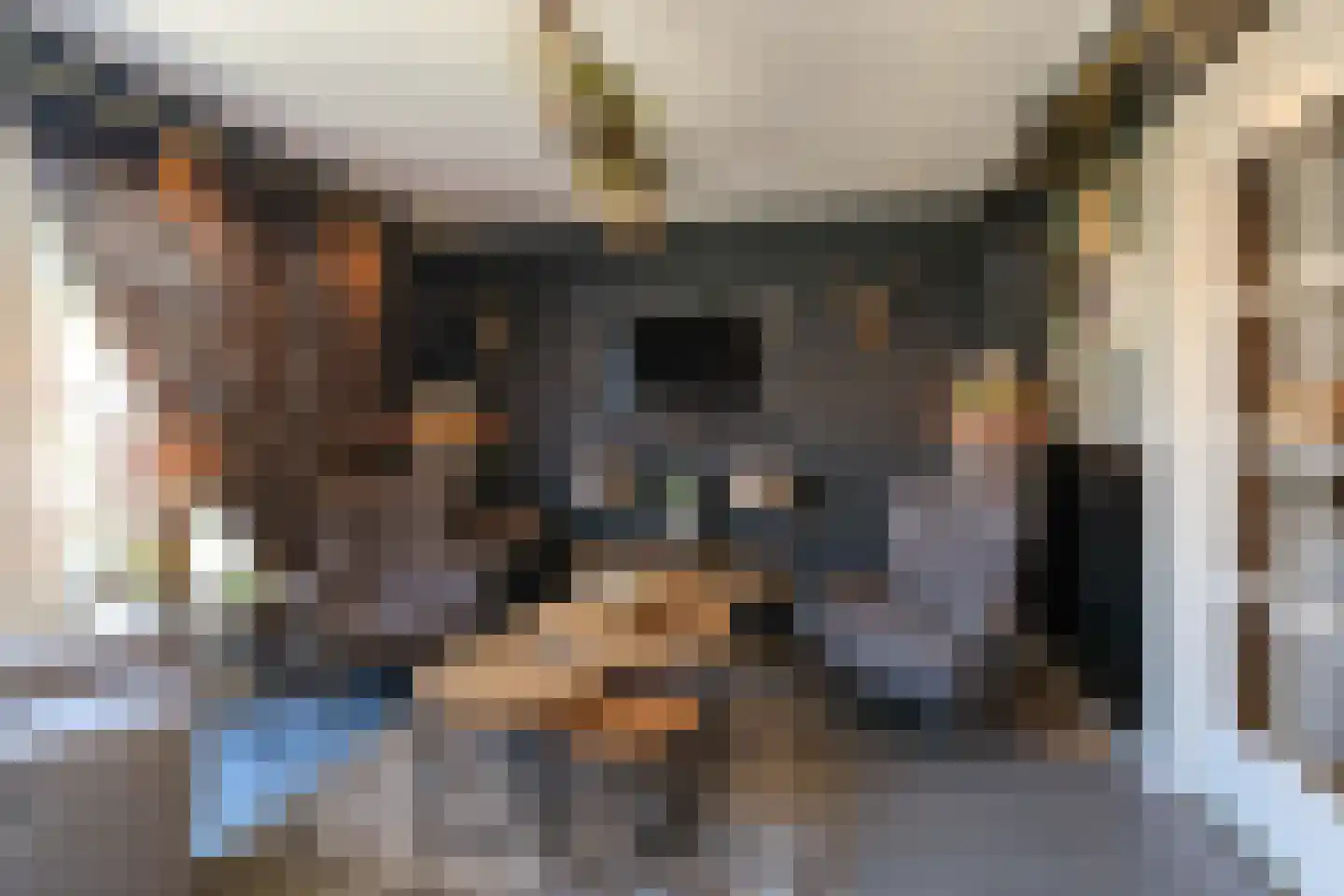 Verzetslaan 2 Almelo thumbnail 9