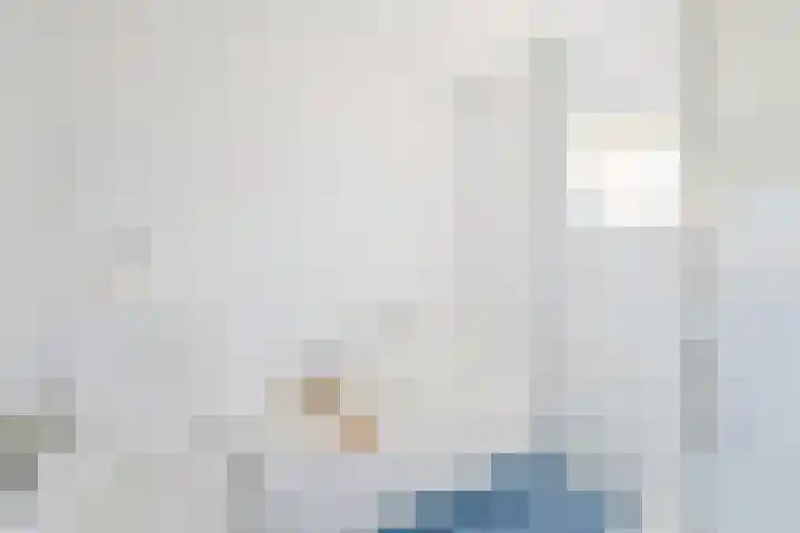 Verzetslaan 2 Utrecht thumbnail 15