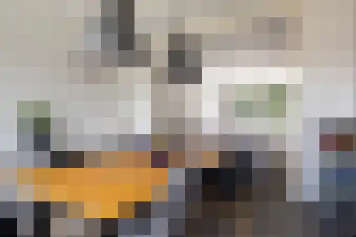Verzetslaan 28 Zeist thumbnail 10
