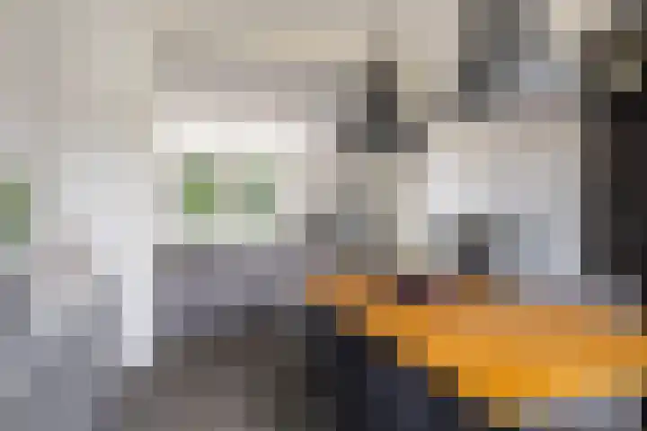 Verzetslaan 28 Zeist thumbnail 11