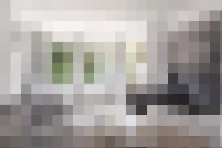 Verzetslaan 28 Zeist thumbnail 13