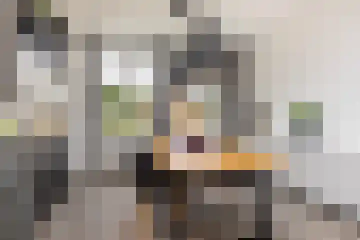 Verzetslaan 28 Zeist thumbnail 9