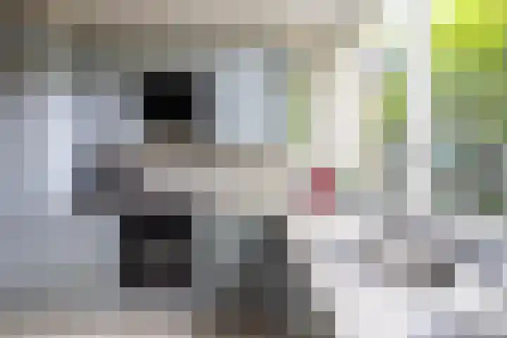 Verzetslaan 31 Doetinchem thumbnail 10