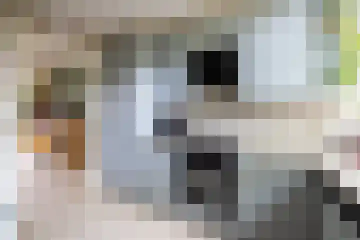 Verzetslaan 31 Doetinchem thumbnail 12